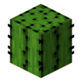 Thumbnail for version as of 22:32, 3 January 2024