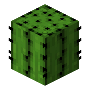 Cactus Block.png