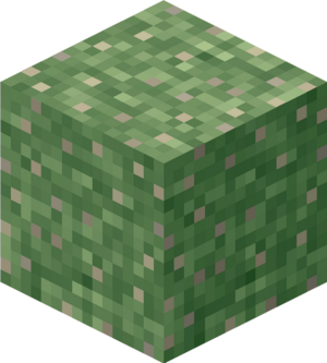 Mossy Limestone.png