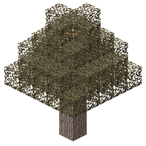File:Winter Cherry.png