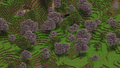Thumbnail for version as of 22:32, 3 January 2024