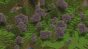 Seasonal forest.png