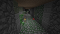 A long hallway with traps and mobs.