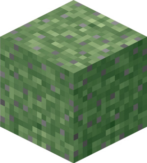 Mossy Stone.png