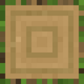 Thumbnail for version as of 22:31, 3 January 2024