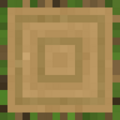 Thumbnail for version as of 22:32, 3 January 2024