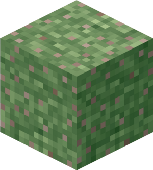 Mossy Granite.png
