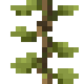 Thumbnail for version as of 22:32, 3 January 2024